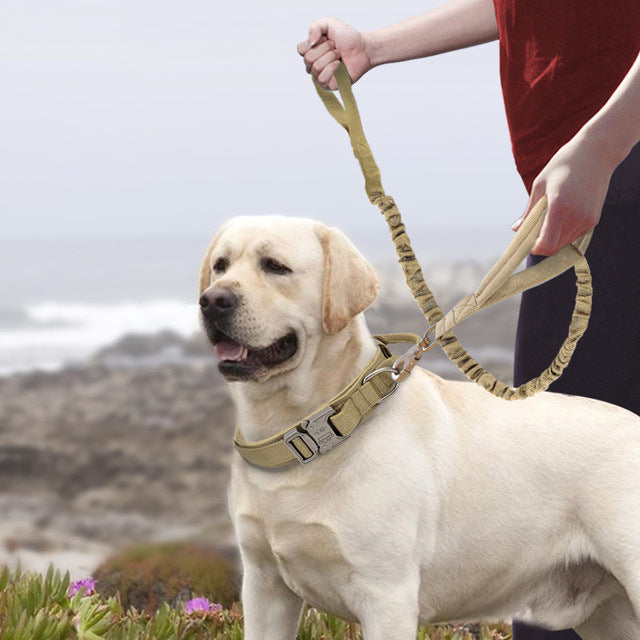 Large And Medium-sized Dogs Pet Collars