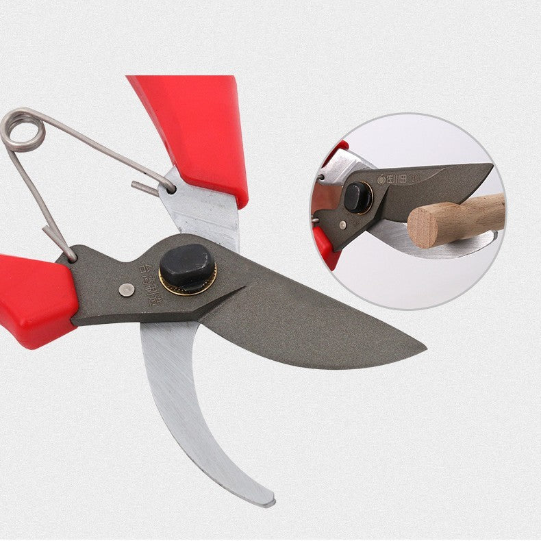 Multifunction's Fruit Tree Gardening Scissors